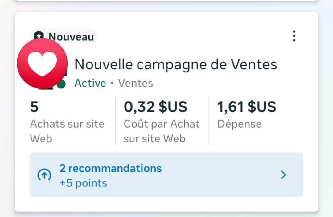 Resultat campagne Meta Ads 11