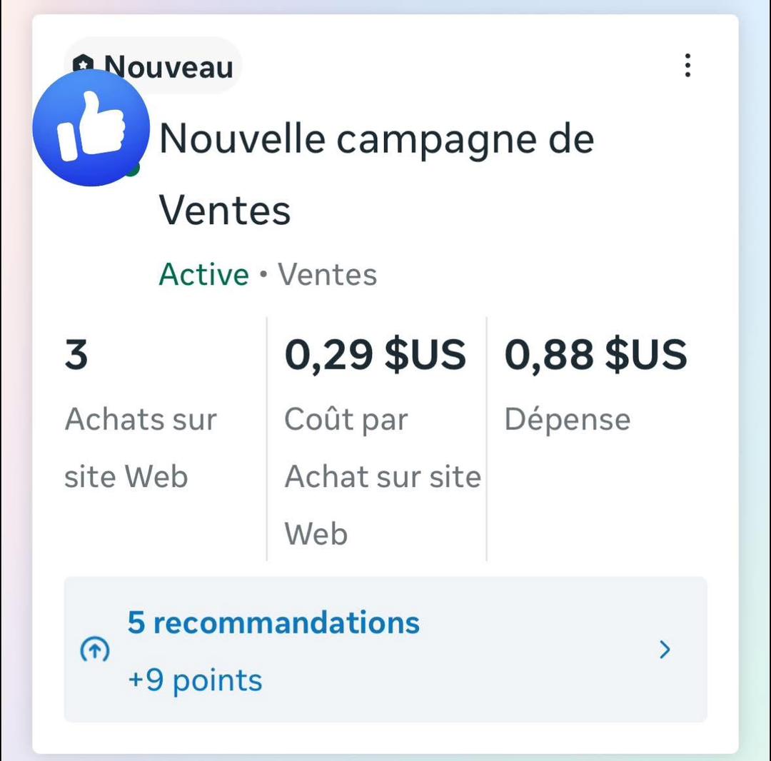 Resultat campagne Meta Ads 10