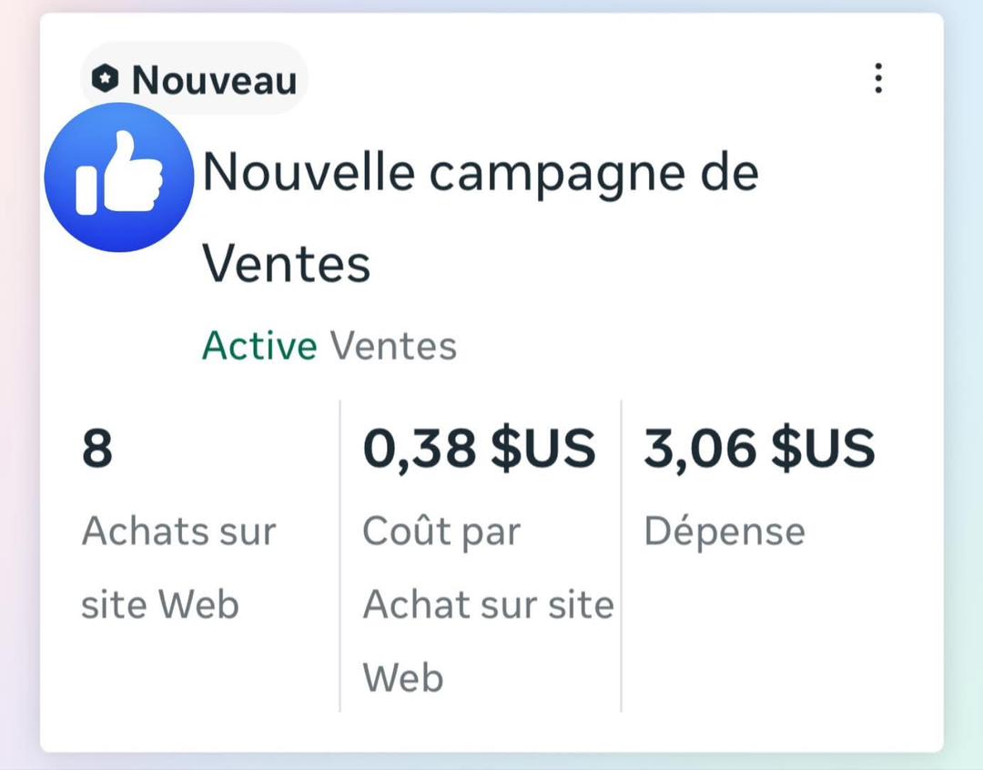 Resultat campagne Meta Ads 8