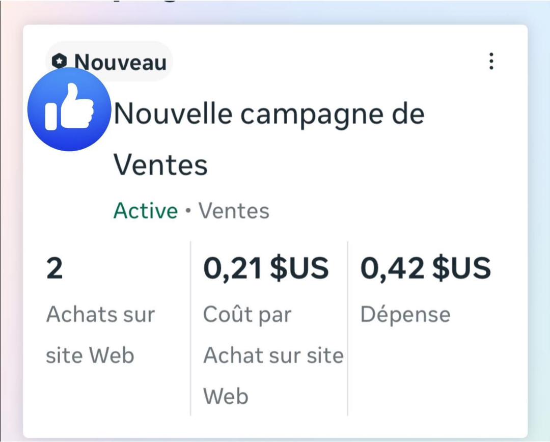 Resultat campagne Meta Ads 5
