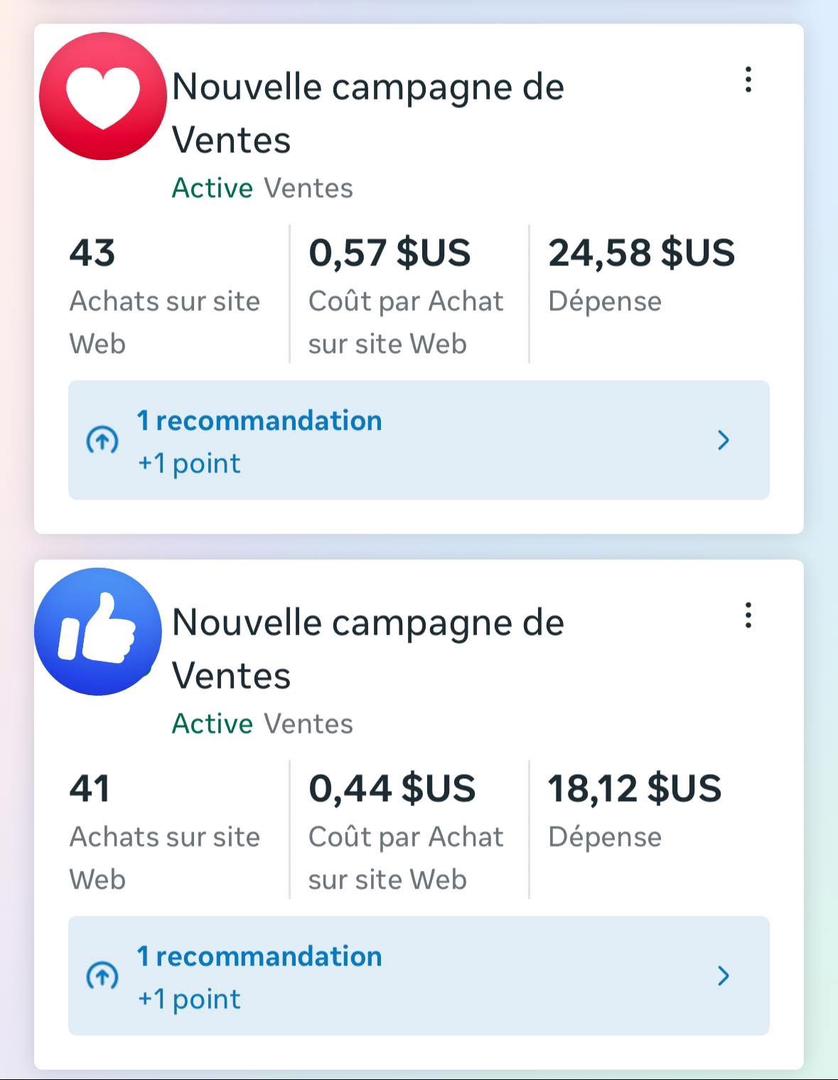 Resultat campagne Meta Ads 2