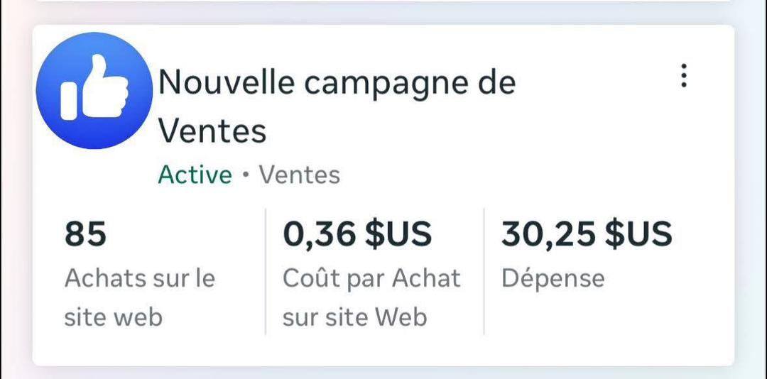 Resultat campagne Meta Ads 1